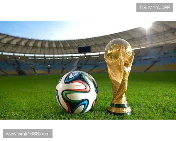 世界杯历届数据统计分析与趋势预测探索 - 副本 世界杯历届数据统计分析与趋势预测探索 - 副本